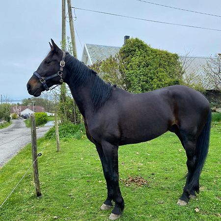 Shared Farmhouse Stavanger Bagian luar foto