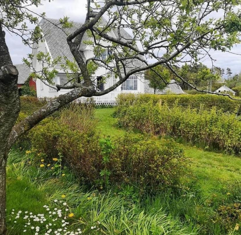 Shared Farmhouse Stavanger Bagian luar foto