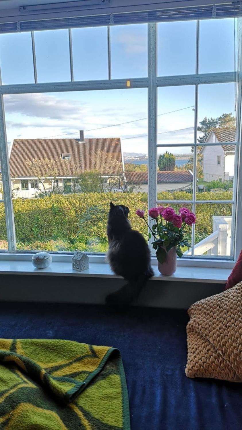 Shared Farmhouse Stavanger Bagian luar foto